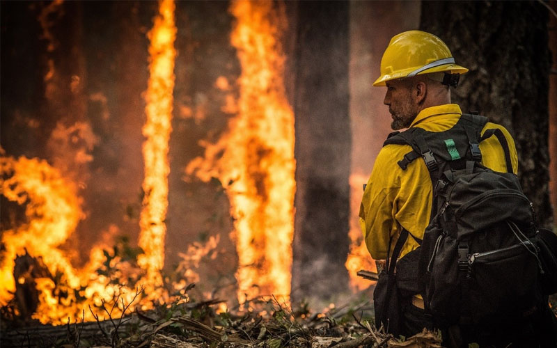 A firefighter fighting a blaze in a forest