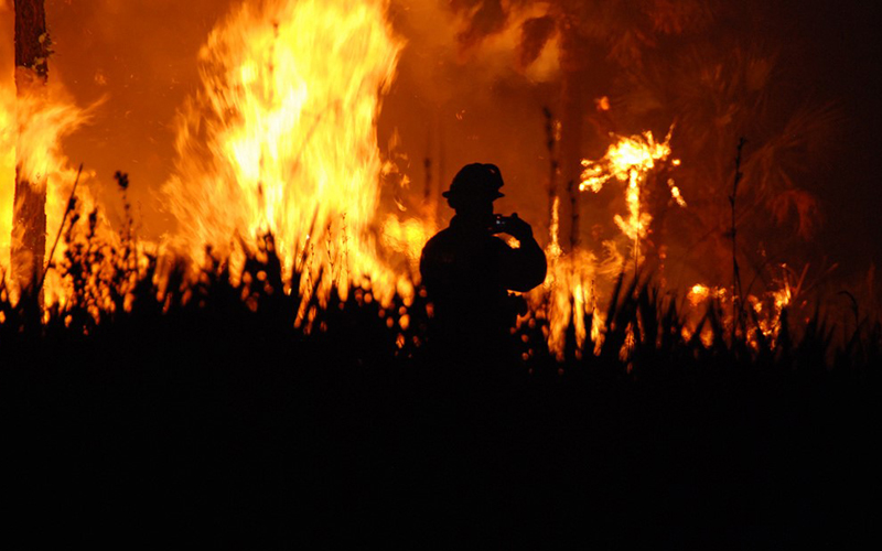 Silhouette of firefighter amidst wildfires.
